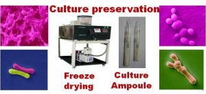National Collection of Dairy Cultures (NCDC) Image of National Collection of Dairy Cultures (NCDC)