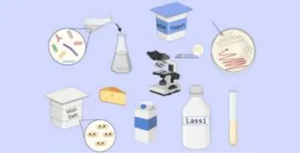 10 Days Hands-on training on Production of Functional Starter Culture and Fermented Dairy Products